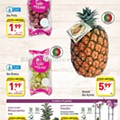Antevisão Folheto ALDI Promoções de 29  julho a 4 agosto d15.jpg